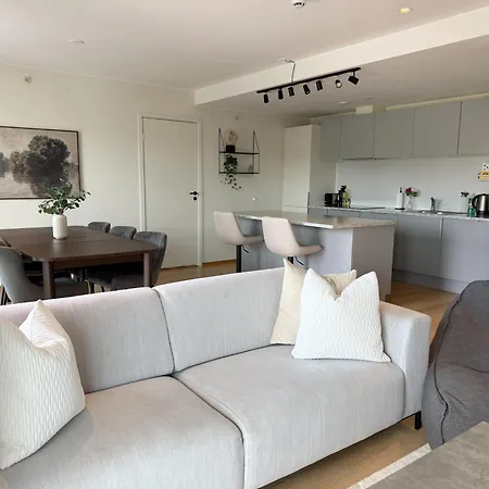 Large Luxurious With Private Terrace And Parking 아파트