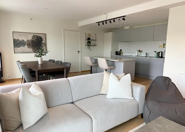 Large Luxurious With Private Terrace And Parking Apartment